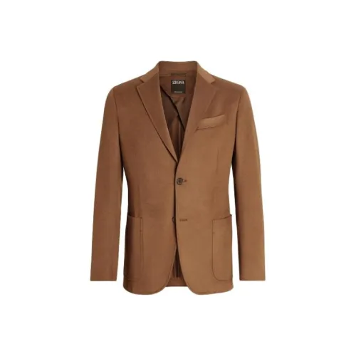 Ermenegildo Zegna Коричневый Мужской Деловой костюм