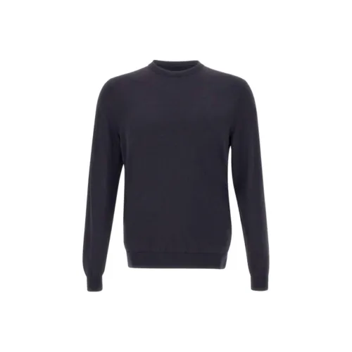 Roberto Ricci Designs Синий Мужской Трикотаж
