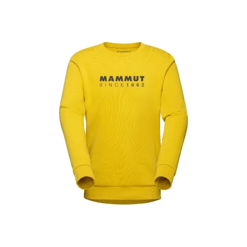 MAMMUT Core ML Мужские Свитшоты