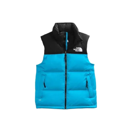 THE NORTH FACE Синий Мужской Пуховый жилет