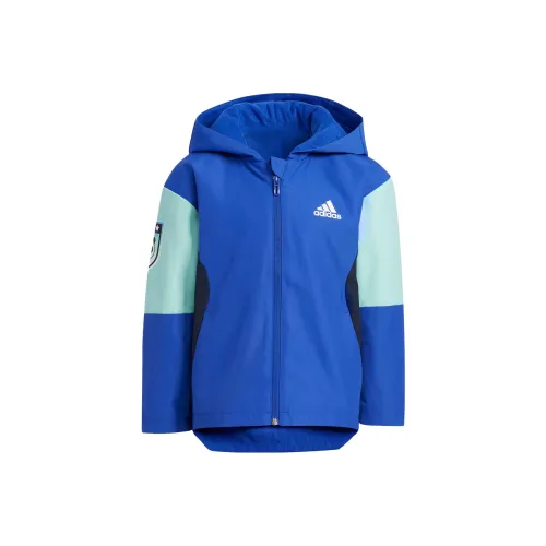 Adidas Blue Men's Jackets Adidas Синий Мужские Куртки
