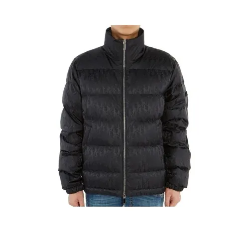 DIOR Quarterly New Products Пуховик Мужской Черный