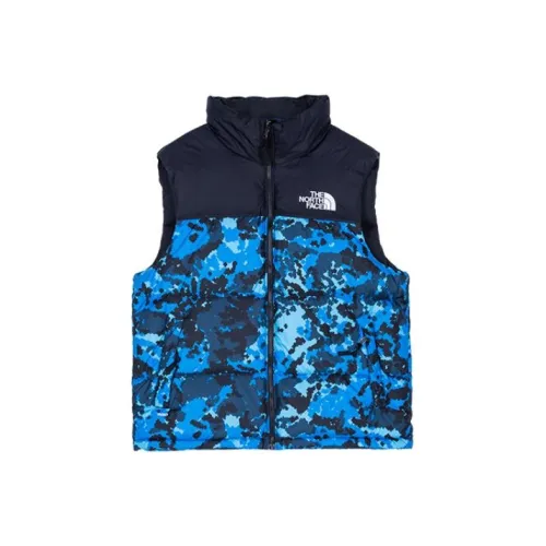 THE NORTH FACE 1996 Collection Синий Мужской Пуховый жилет