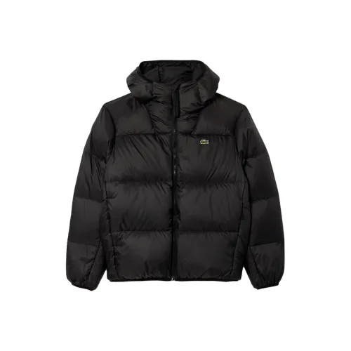 LACOSTE Collaboration Черный Мужской Пуховик