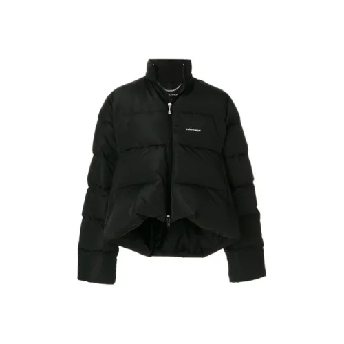 Balenciaga Пуховик Зимний Мужской Черный
