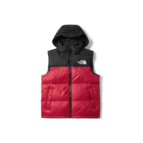 THE NORTH FACE 1996 Collection Жилет Унисекс
