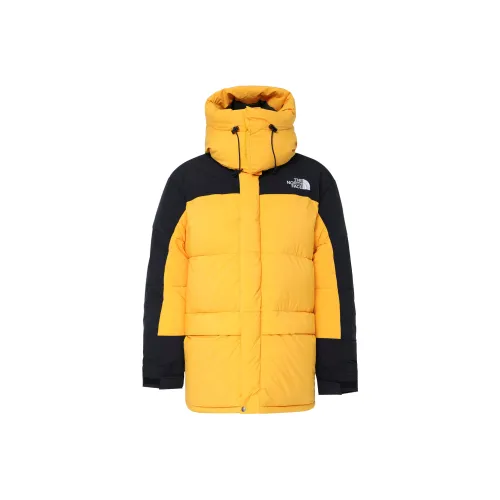 THE NORTH FACE 1994 Collection FW22 Пуховик Унисекс