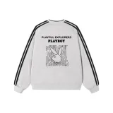 Туманно-серый