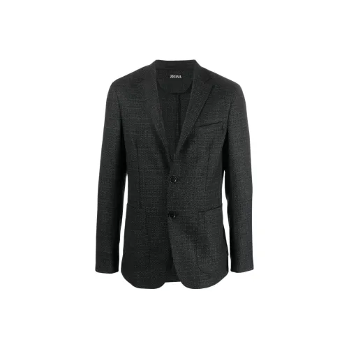 Ermenegildo Zegna Серые Мужские Куртки