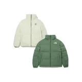 Цвет зеленого авокадо