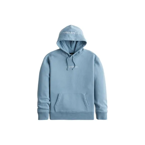 Hollister Светло-Синие Мужские Свитшоты