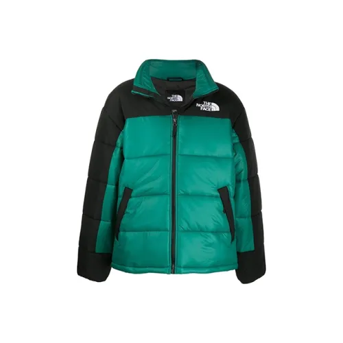 The North Face Пуховик Мужской Черный Зеленый