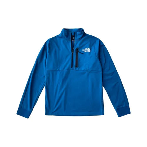 THE NORTH FACE Флис Одежда Мужская Синяя