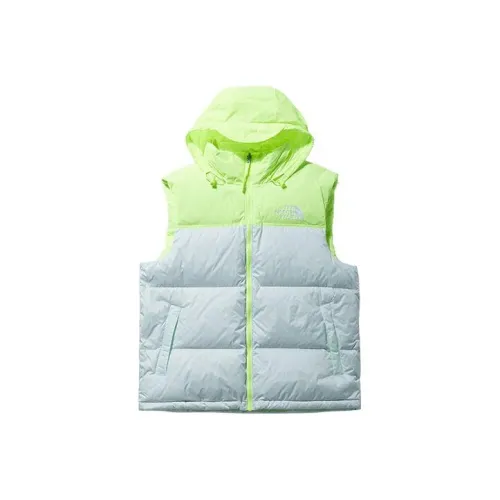 THE NORTH FACE Синий Мужской Пуховый жилет