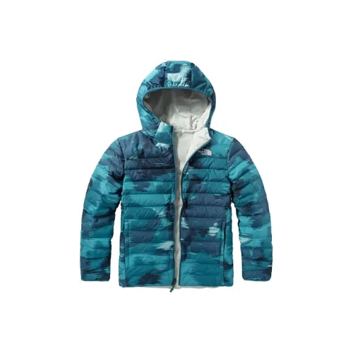 The North Face Синий Мужской Пуховик