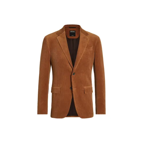 Ermenegildo Zegna Коричневый Мужской Деловой костюм