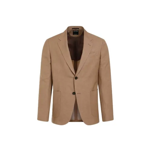 Zegna Куртки и Пальто Мужской Коричневый