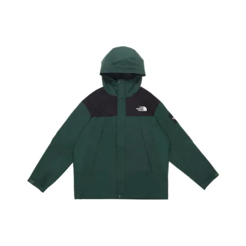 The North Face Зеленая Унисекс Куртка