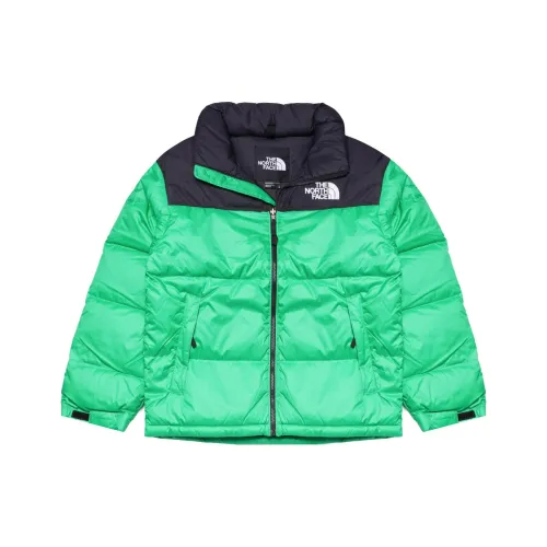 THE NORTH FACE 1996 Collection Куртки и Пальто Мужской Зеленый