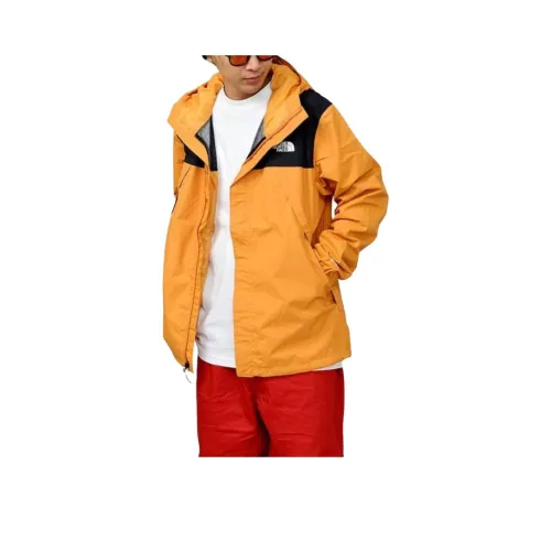 THE NORTH FACE Водонепроницаемый и Ветрозащитный Ветровка Мужской