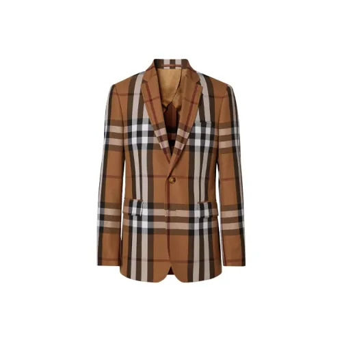 Burberry Береза Коричневый Мужской Деловой костюм