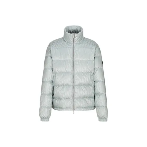 DIOR Пуховик Зимний Мужской Серый