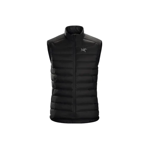 Arcteryx Cerium LT Жилет Мужской Черный
