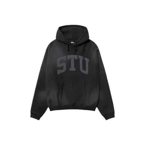 Stussy SS25 Унисекс Свитшоты