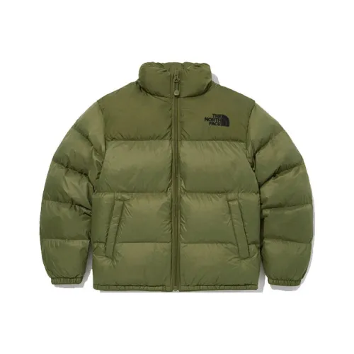 THE NORTH FACE Куртки и Пальто Унисекс Зеленый