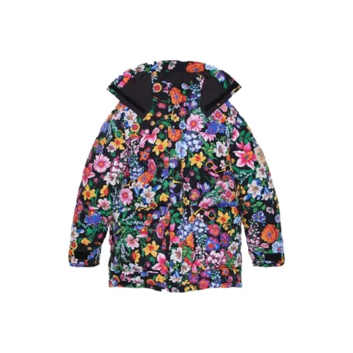 GUCCI x THE NORTH FACE Пуховик Мужской Многоцветный