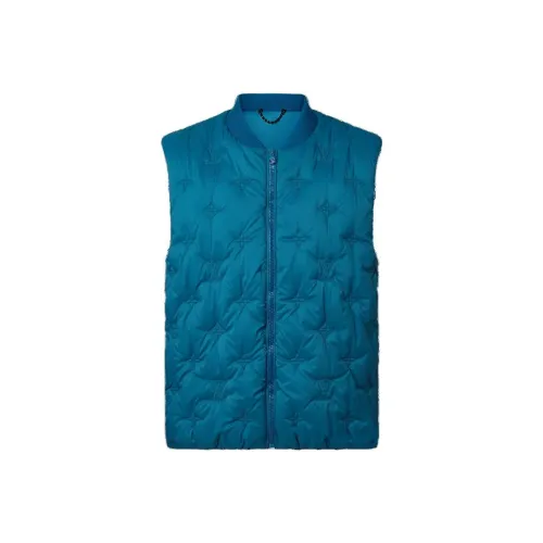 LOUIS VUITTON Синие Мужские Жилеты