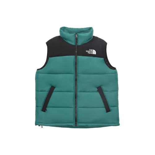Жилет THE NORTH FACE Унисекс Синий