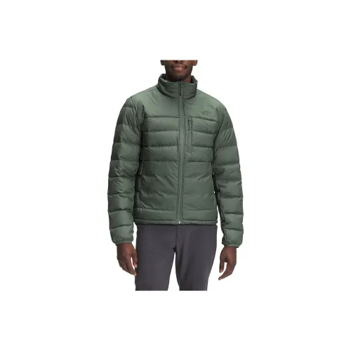 The North Face Зеленый Мужской Куртки
