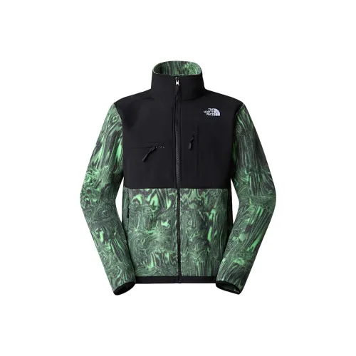 THE NORTH FACE DENALI Куртка Мужская