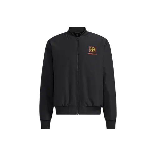 ADIDAS NEO Пуховая куртка Мужская Черная