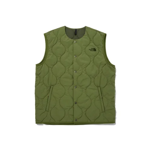 THE NORTH FACE Жилет Мужской Зеленый