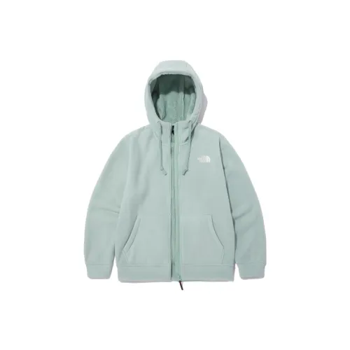 The North Face Зеленый Мужской Куртки