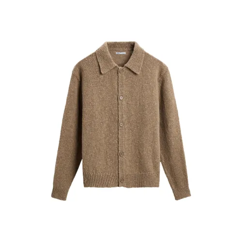 ZARA Коричневый Мужской Трикотаж