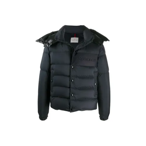 Moncler Черный Мужской Пуховик