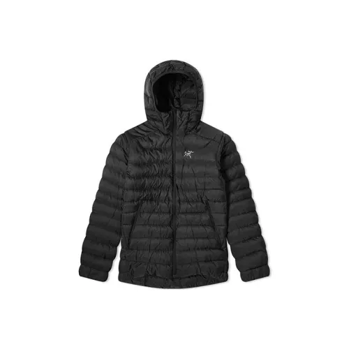 Arcteryx Cerium Пуховики и зимние пальто Зимний Мужской