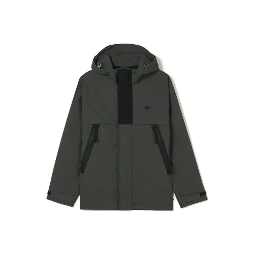 LACOSTE Темно-серый Мужская Куртка