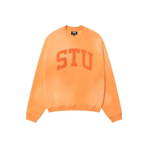 Stussy SS25 Унисекс Свитшоты