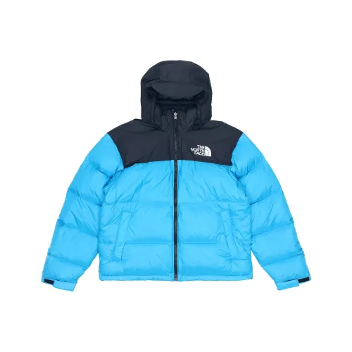 THE NORTH FACE 1996 Collection Синий Мужской Пуховик