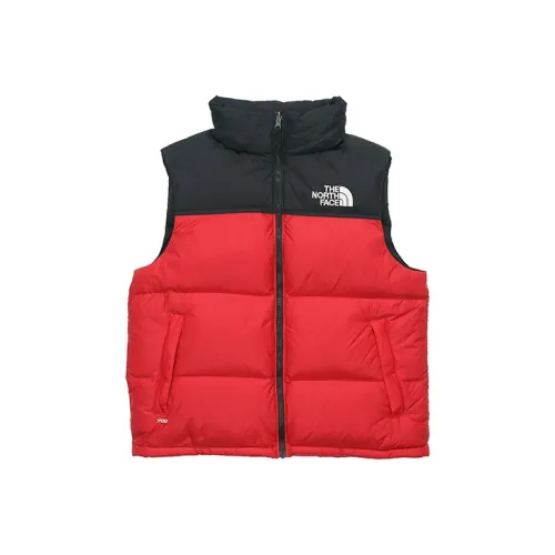 THE NORTH FACE 1996 Collection Мужской пуховый жилет