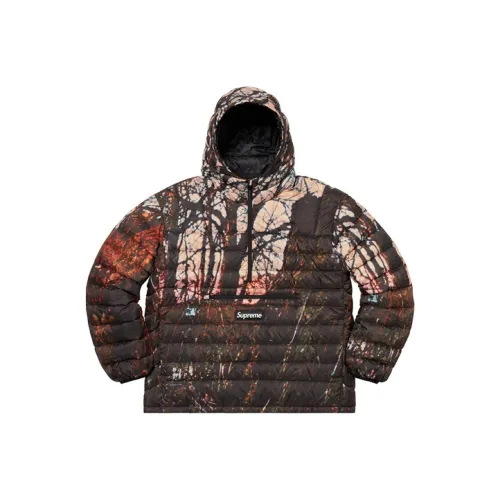 Supreme FW20 Унисекс Пуховики