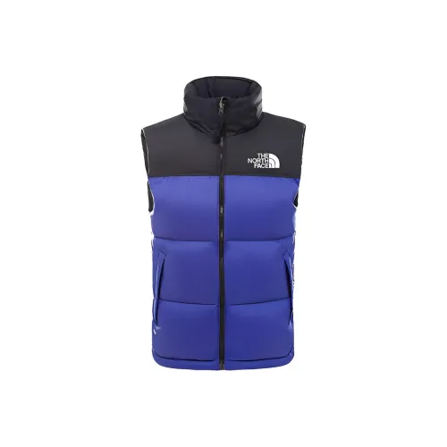 THE NORTH FACE 1996 Collection Жилет Мужской Синий