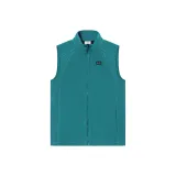 Ель Зеленая