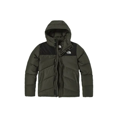 THE NORTH FACE Пуховик Мужской Зеленый