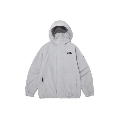 The North Face Светло-серый Мужские Куртки