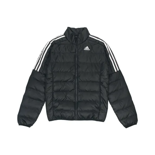 Adidas Черный Мужской Пуховик